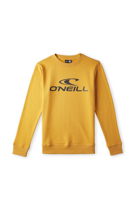 Jongens O`Neill Sweater  Logo Crew, Bruin
