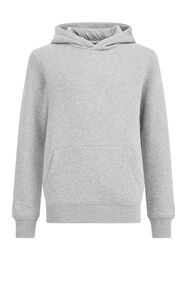 Unisex hoodie, Lichtgrijs