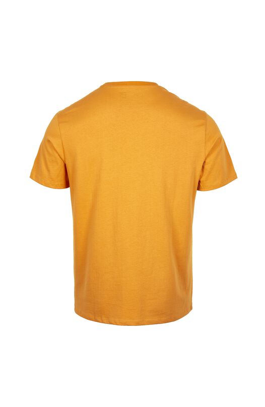 Heren O`Neill T-shirt Cali Original, Bruin