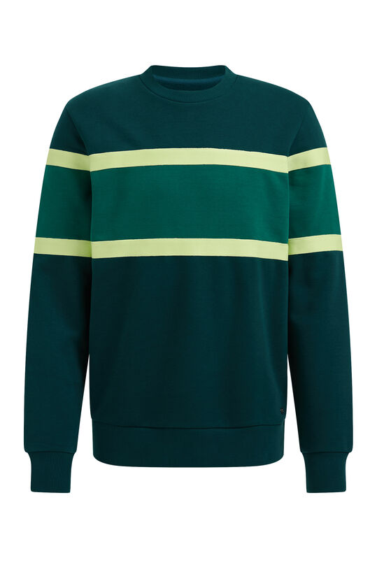Heren sweater met colourblock, Groen